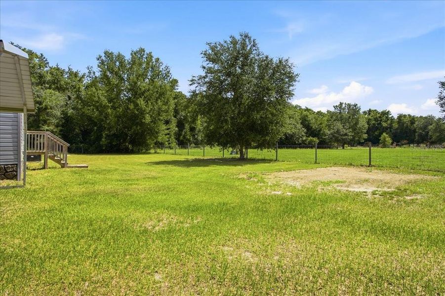 Natural landscape and outdoor views near  in Bushnell (Image 34).