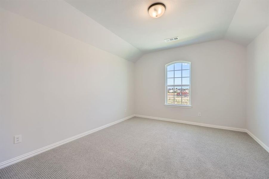 Spare room featuring lofted ceiling and carpet flooring