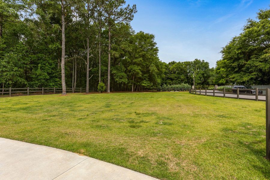 Natural landscape and outdoor views near in Johns Island (Image 37). Natural landscape and outdoor views near in Johns Island (Image 37).