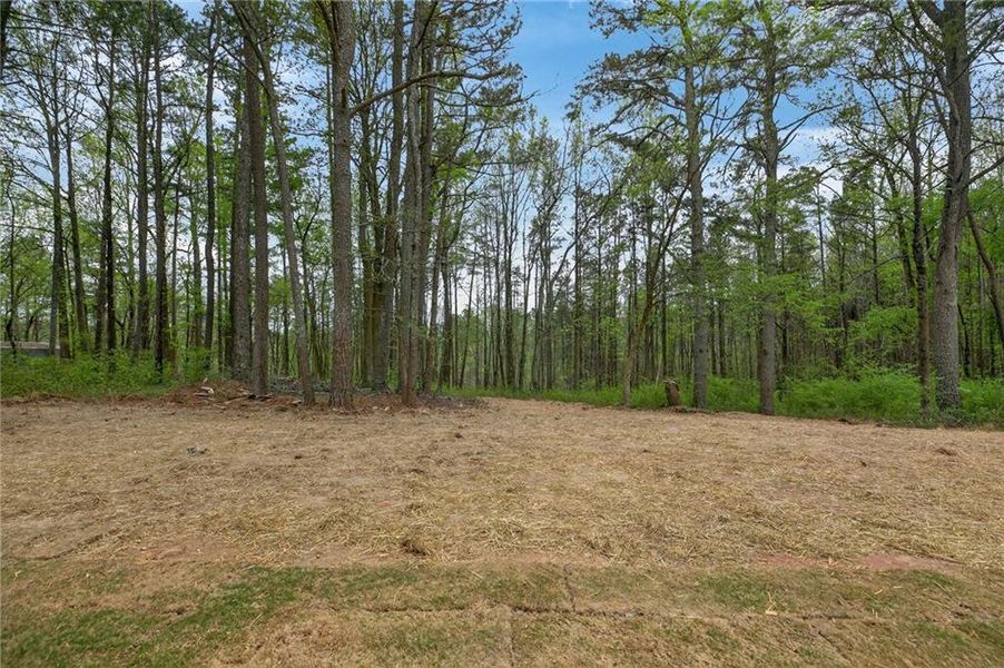 Natural landscape and outdoor views near in Dallas (Image 27). Natural landscape and outdoor views near in Dallas (Image 27).