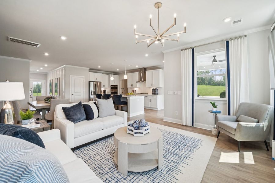 Living Room and Gourmet Kitchen