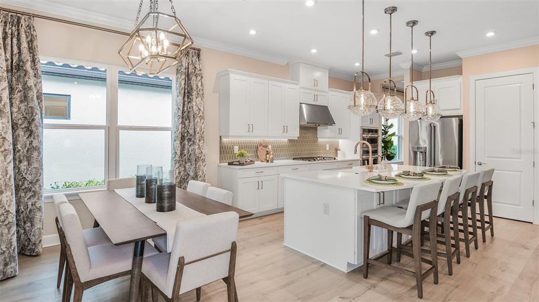 REPRESENTATIVE PHOTO