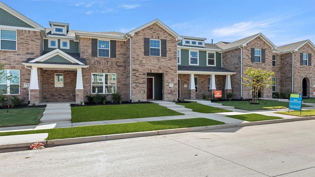 02. 3703 Star Mesa - Front (2) 02. 3703 Star Mesa - Front (2)