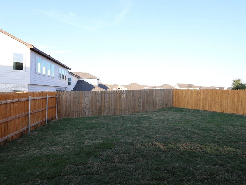 Backyard