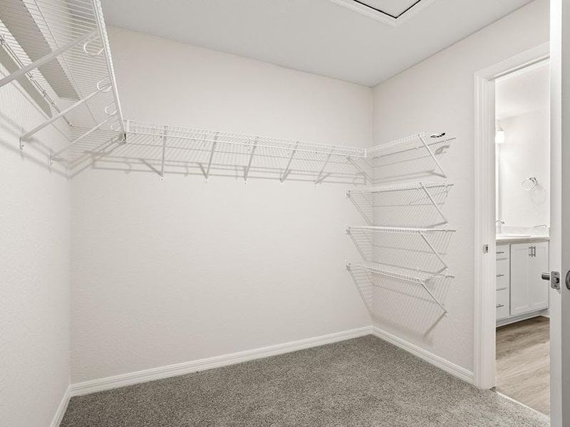 And, a walk-in wardrobe - Parsyn by Highland Homes And, a walk-in wardrobe - Parsyn by Highland Homes