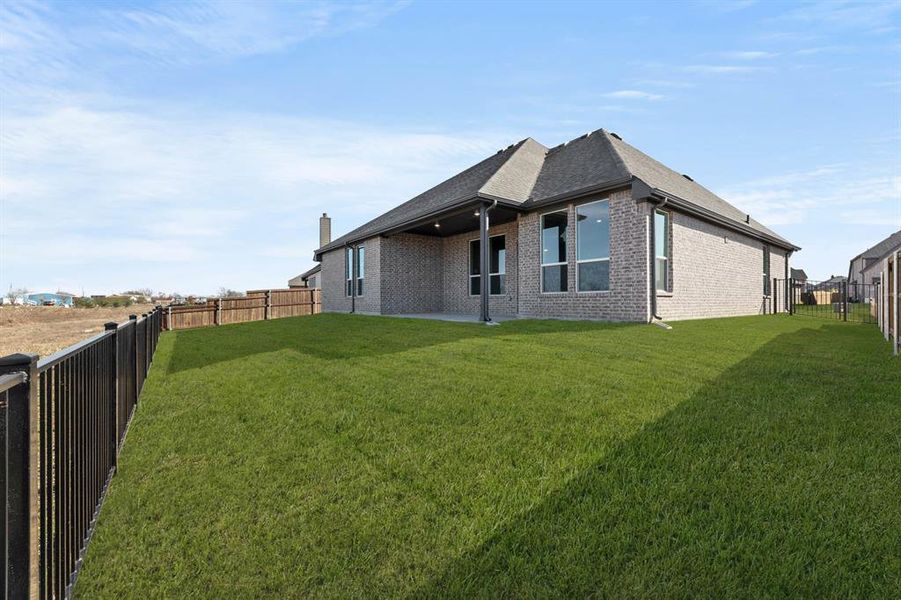 7809 Barley Field-Back-1 7809 Barley Field-Back-1