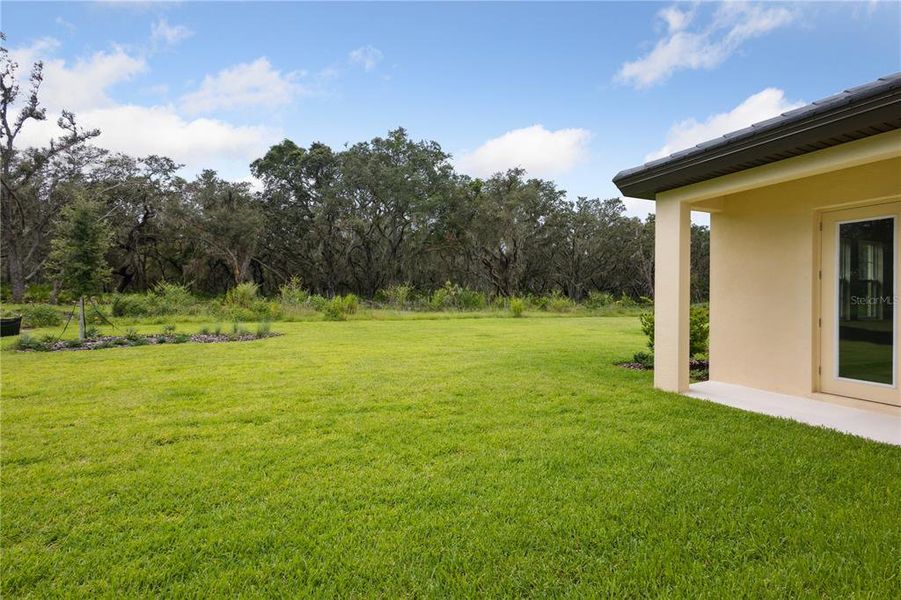 Front exterior of a new home in Triple Creek, Riverview, FL, highlighting curb appeal (Image 20).