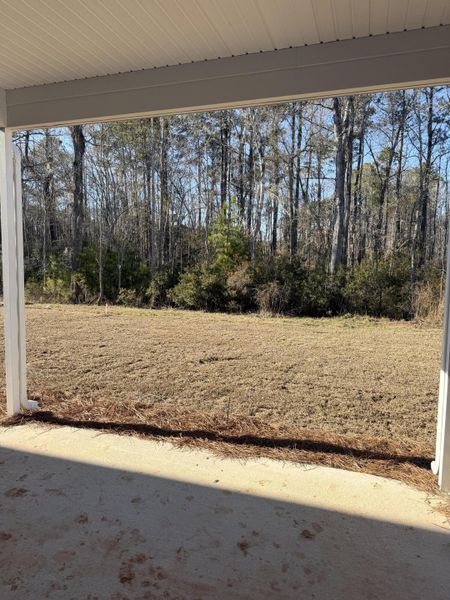 Exterior details and patio area of a home in Parker's Preserve, Ridgeville (Image 7). Exterior details and patio area of a home in Parker's Preserve, Ridgeville (Image 7).