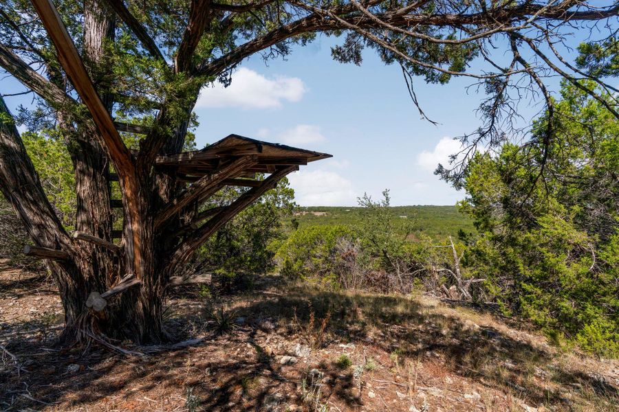 Natural landscape and outdoor views near  in Wimberley (Image 27).