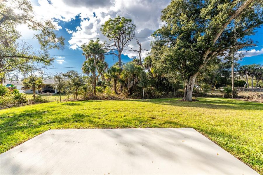 Natural landscape and outdoor views near  in North Port (Image 44).