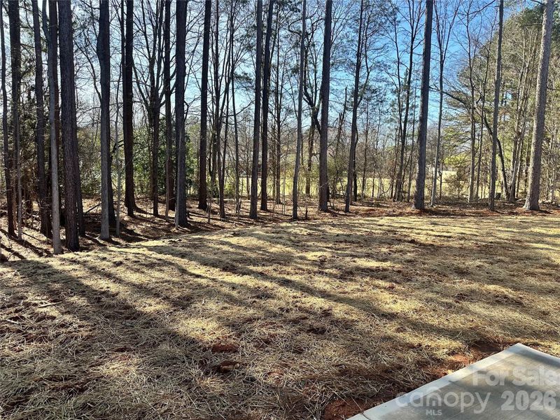 Natural landscape and outdoor views near  in Salisbury (Image 46).