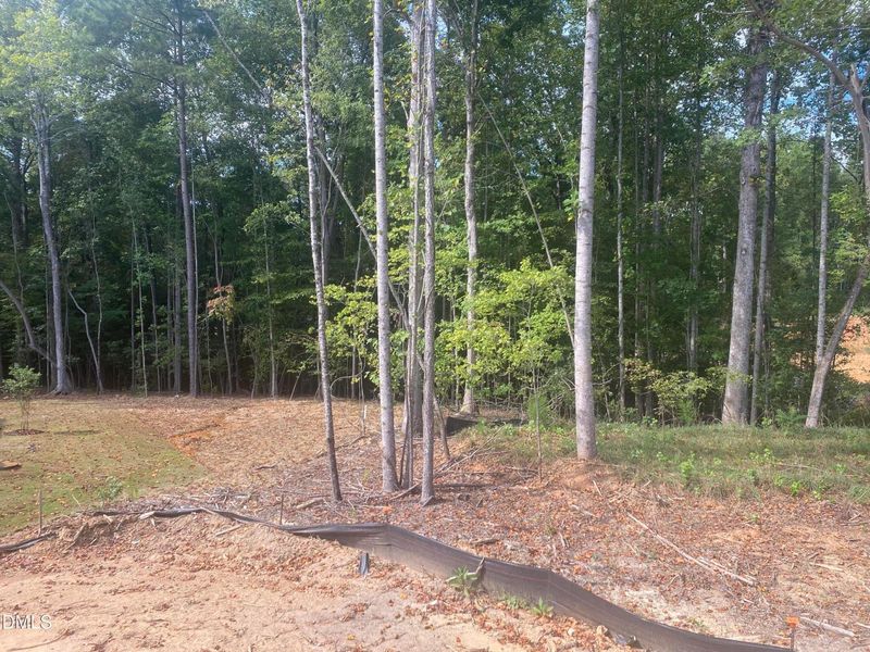Natural landscape and outdoor views near Laneridge Estates in Raleigh (Image 29).