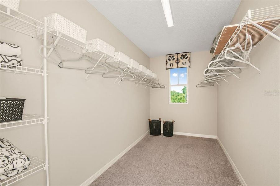 Spacious, unfurnished interior of a new home in Two Rivers, Zephyrhills (Image 17).