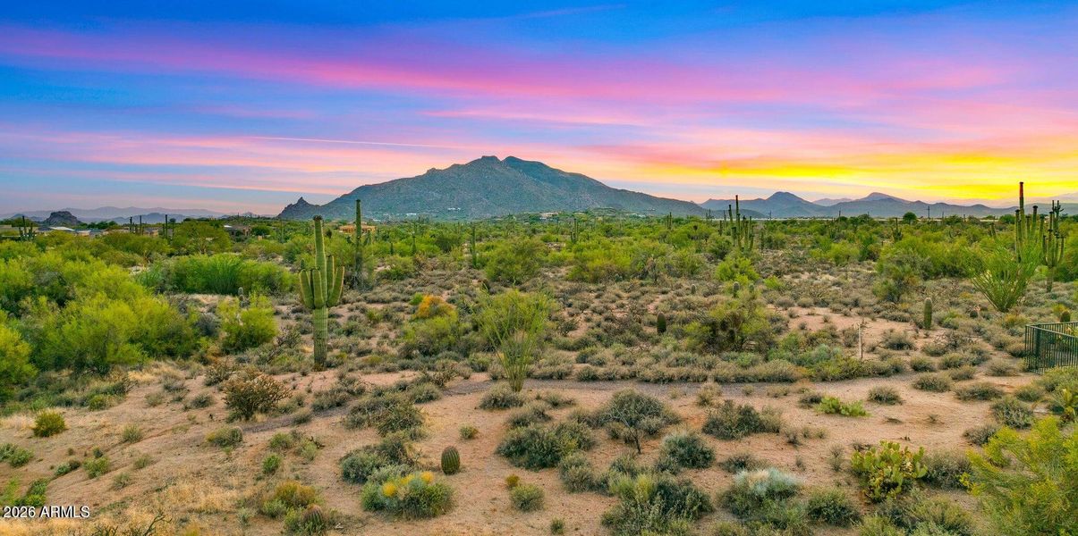 desertview blackmountain