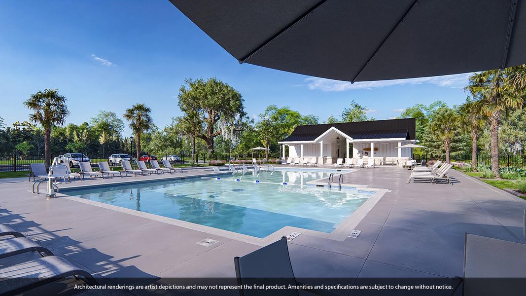 Community amenities in Pineland Preserve, Summerville (Image 23).