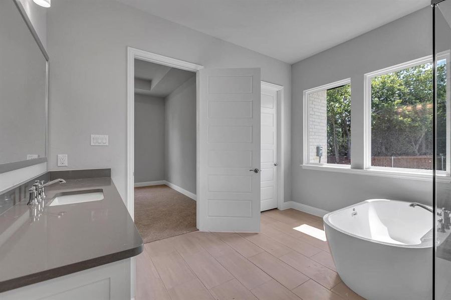 Bathroom with vanity, hardwood / wood-style floors, and a bathtub