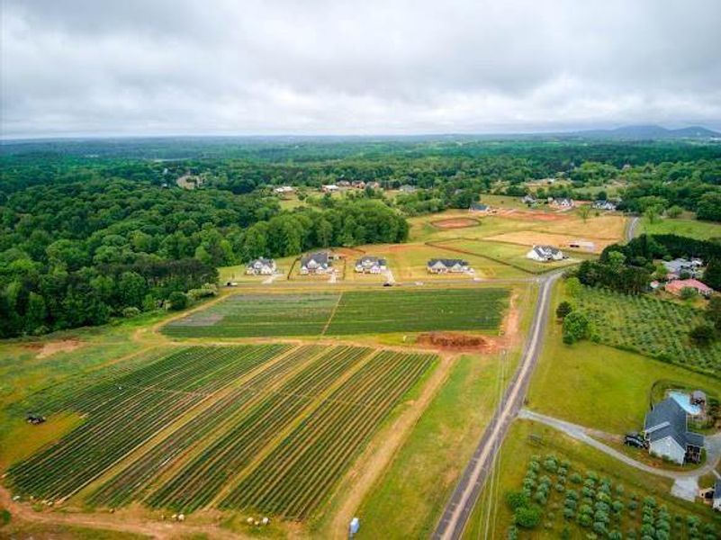 Site preparation for new homesites in , Cumming (Image 38).