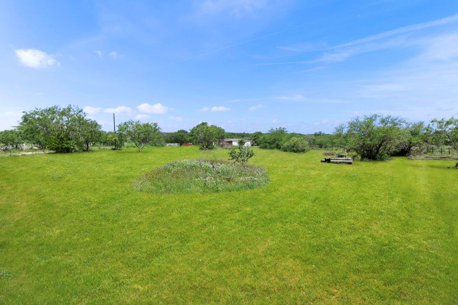 Natural landscape and outdoor views near  in Floresville (Image 29).