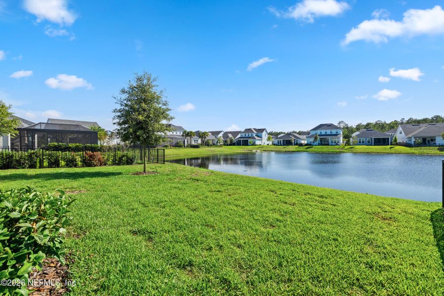 Natural landscape and outdoor views near  in Ponte Vedra (Image 60).