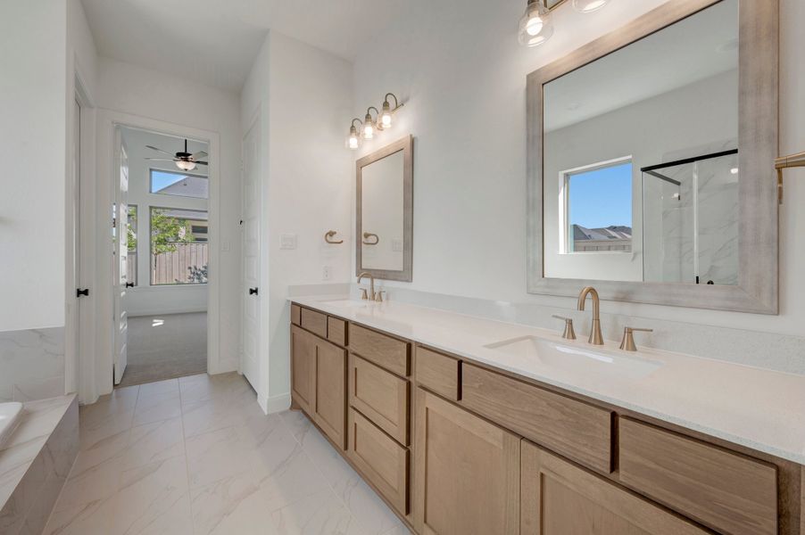 Owner's Bath