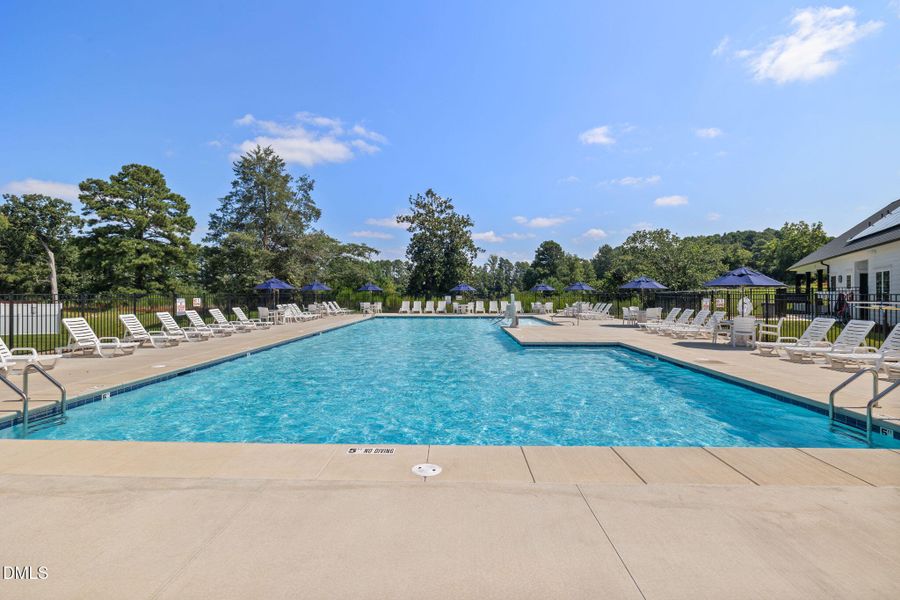 4-web-or-mls-DX3A1439