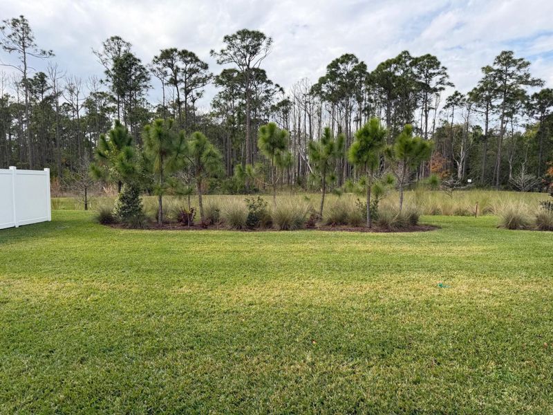 Galen Model backyard preserve view