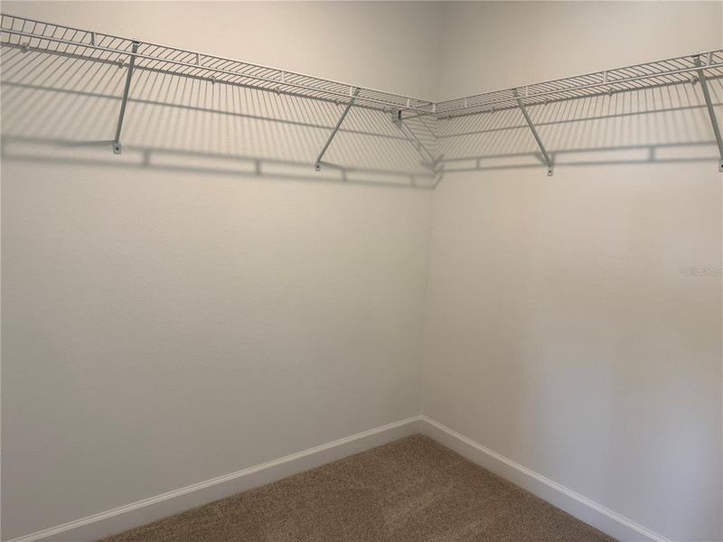 Spacious, unfurnished interior of a new home in , Tampa (Image 12).