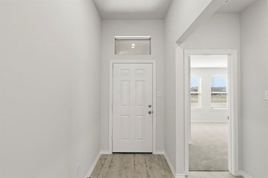 03. 118 Coyote - Entry 03. 118 Coyote - Entry