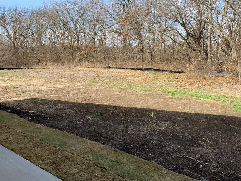 View of yard View of yard