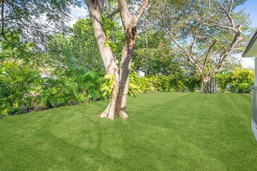 Natural landscape and outdoor views near in Miami (Image 22). Natural landscape and outdoor views near in Miami (Image 22).