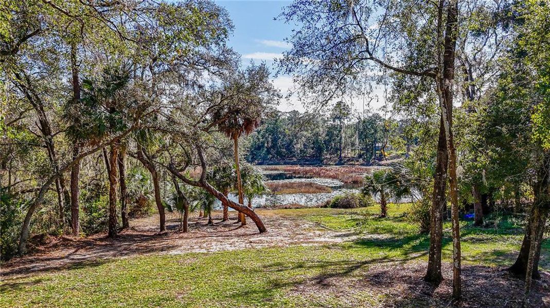 Natural landscape and outdoor views near  in Ocklawaha (Image 40).