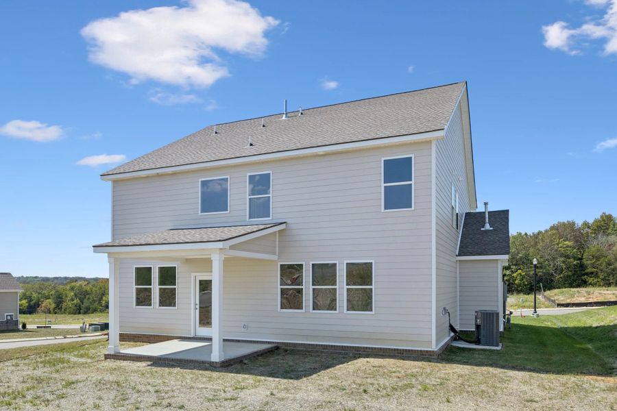 Exterior details and patio area of a home in Willow Landing, Mount Juliet (Image 26).