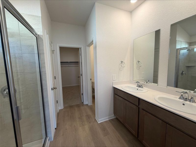 Bathroom with a stall shower, a walk in closet, double vanity, and light wood-style floors