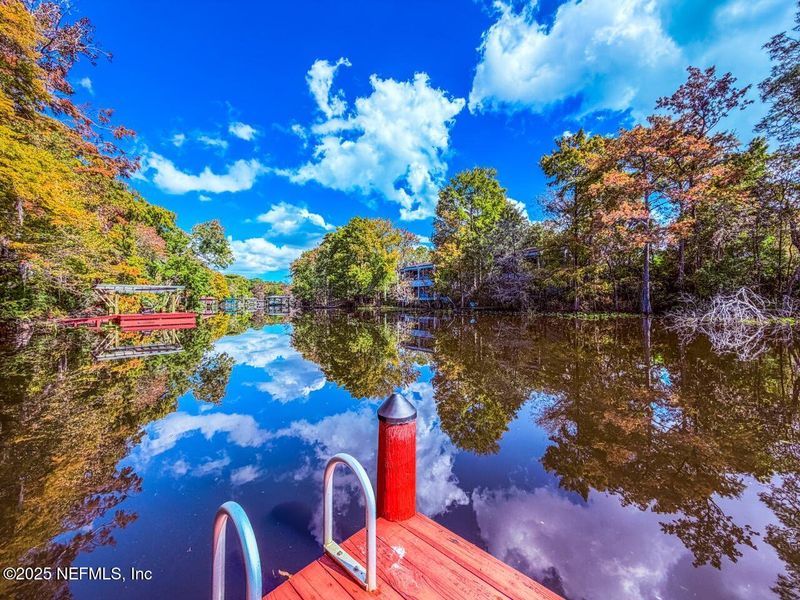 Natural landscape and outdoor views near  in Jacksonville (Image 62).