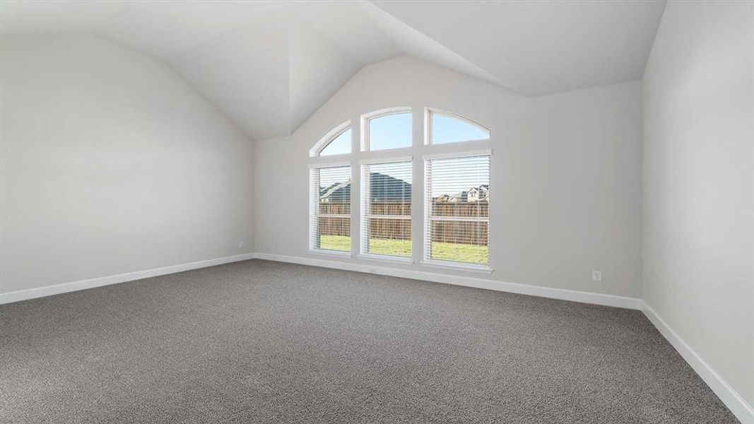 Spare room with carpet and lofted ceiling