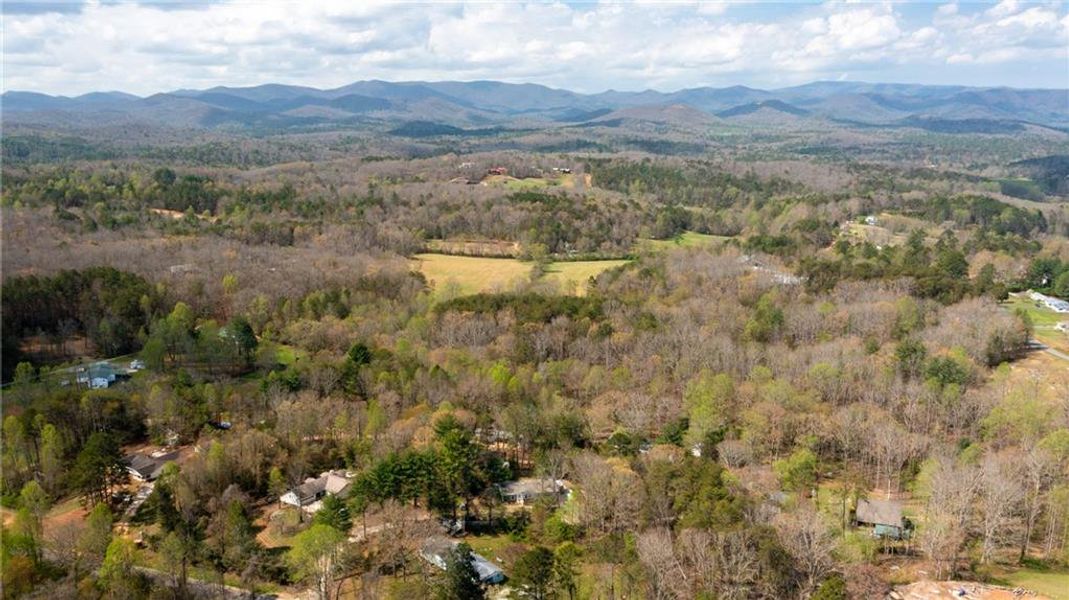 Natural landscape and outdoor views near  in Blue Ridge (Image 30).