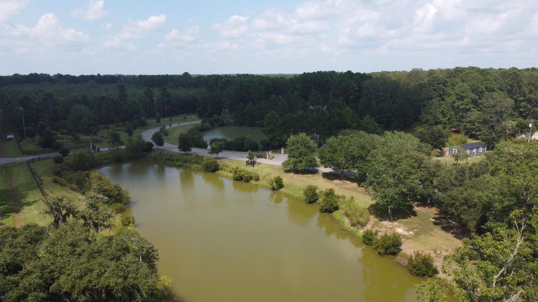 Natural landscape and outdoor views near in Yemassee (Image 56). Natural landscape and outdoor views near in Yemassee (Image 56).
