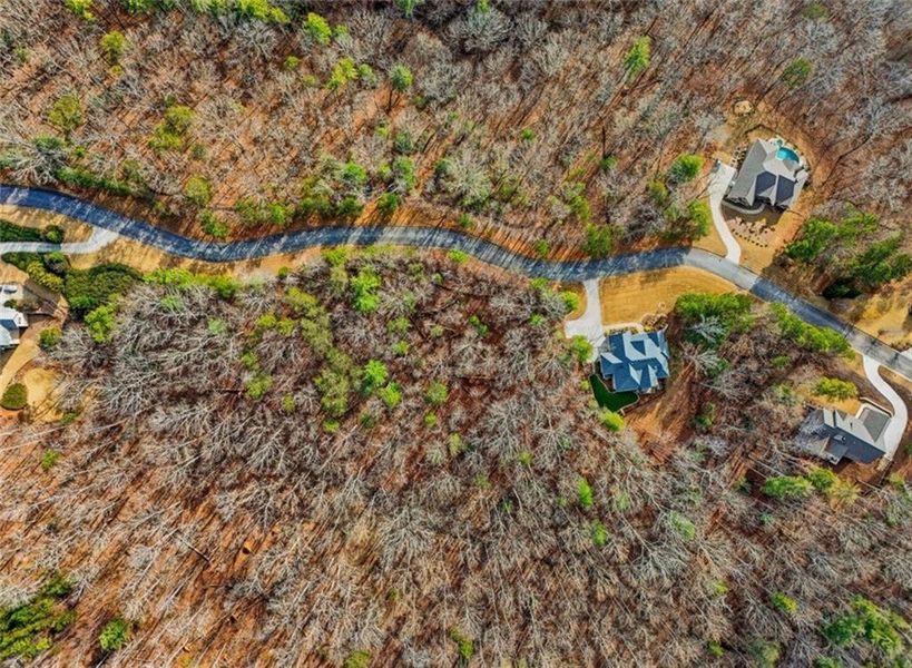 Site preparation for new homesites in , Gainesville (Image 4).