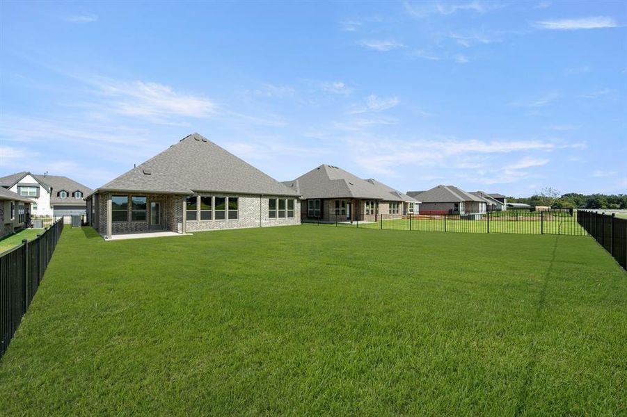 375 Paddle Boat- Back-2 375 Paddle Boat- Back-2