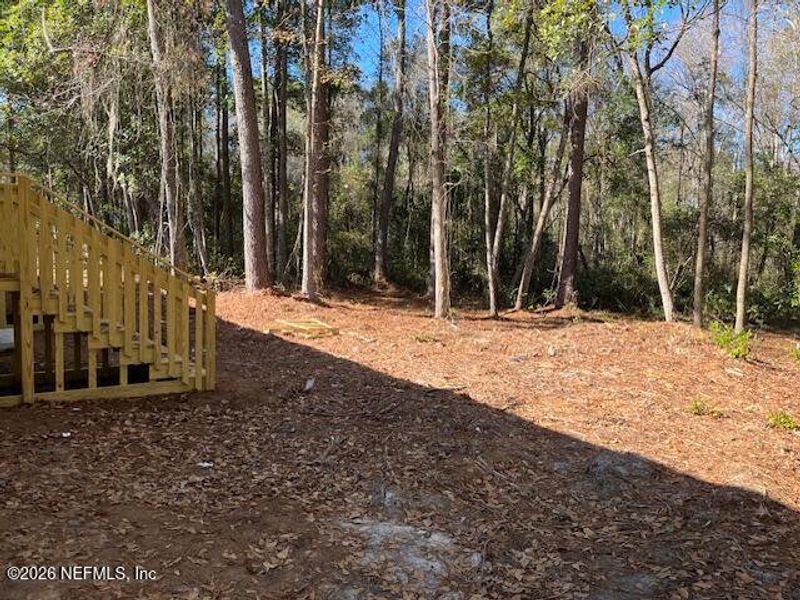 Natural landscape and outdoor views near  in Middleburg (Image 21).