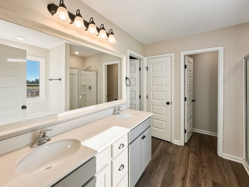 Furnished interior view inside a new home in Tibet Road at Sassafras, Allenhurst (Image 9).