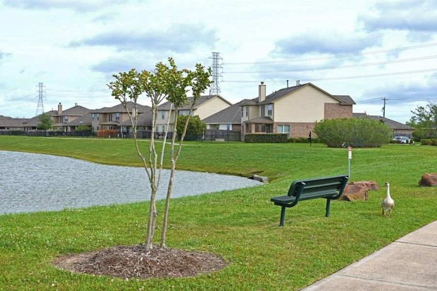 Community amenities in Kendall Lakes, Alvin (Image 17). Community amenities in Kendall Lakes, Alvin (Image 17).