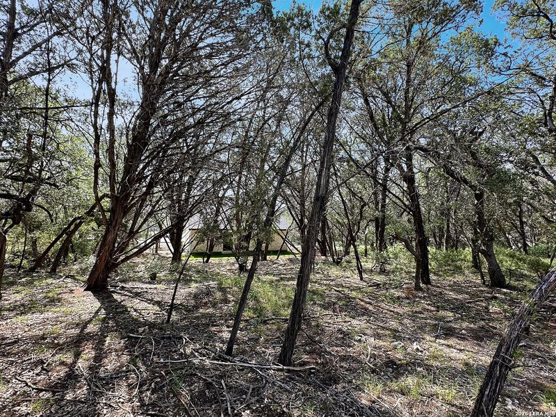 Natural landscape and outdoor views near  in Canyon Lake (Image 25).
