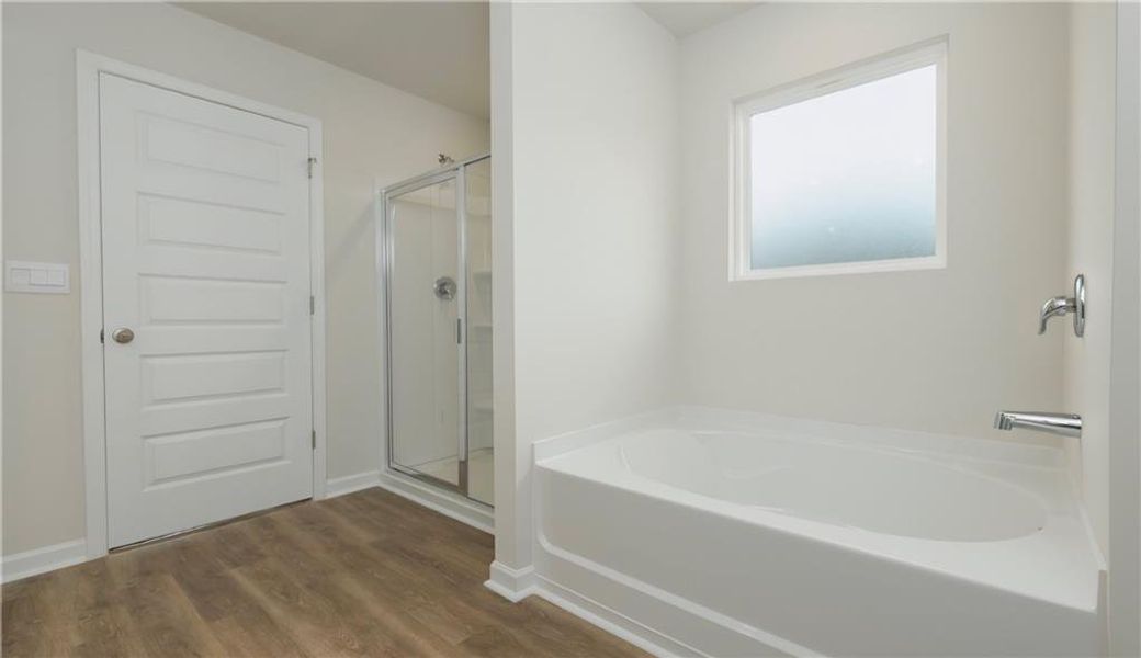 Furnished interior view inside a new home in Bridle Creek, Locust Grove (Image 14).