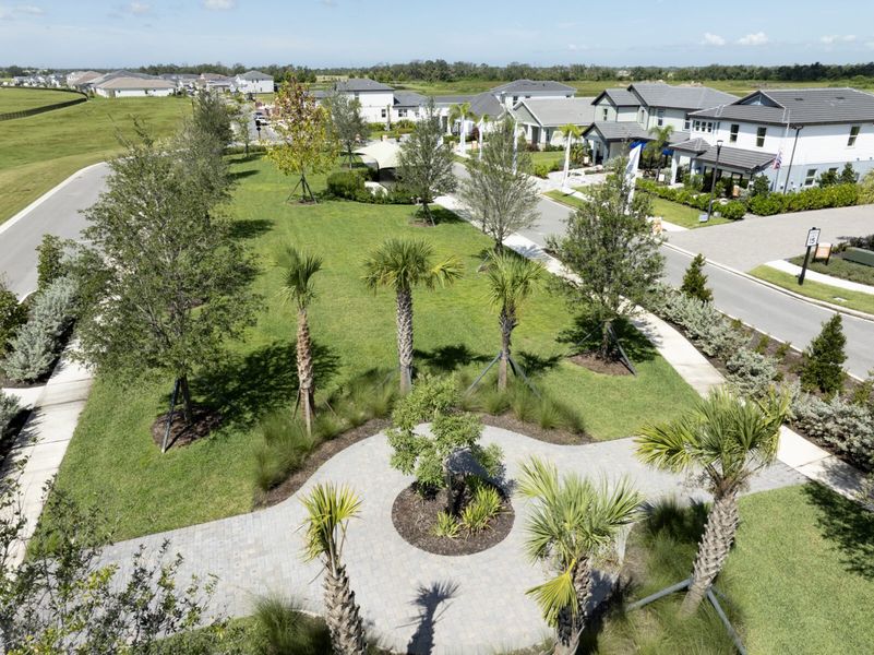 Community amenities in Wildleaf, Parrish (Image 55).