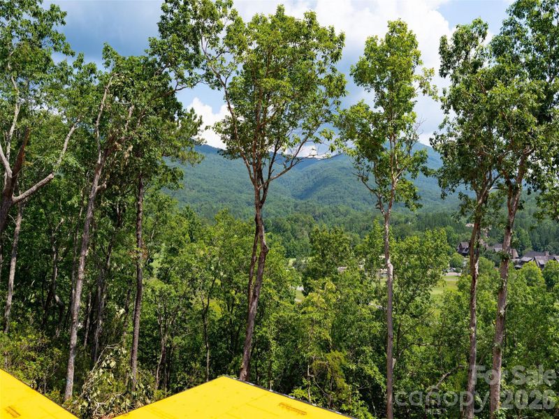 Natural landscape and outdoor views near  in Mill Spring (Image 28).