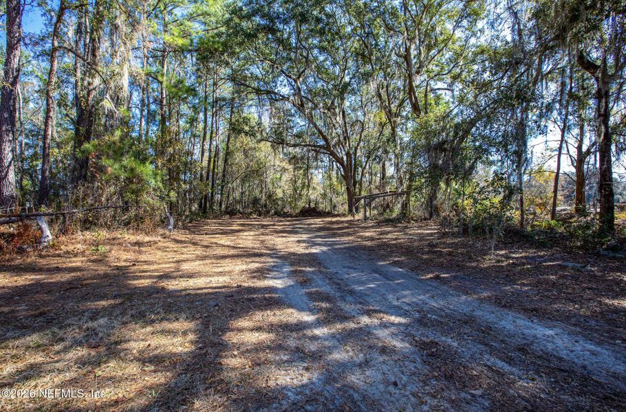 Natural landscape and outdoor views near  in Lake Butler (Image 33).