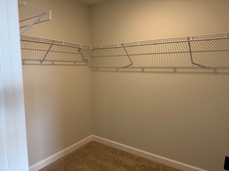 Vast primary walk-in closet