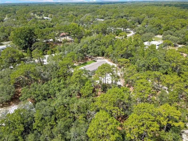 Natural landscape and outdoor views near  in Homosassa (Image 53).
