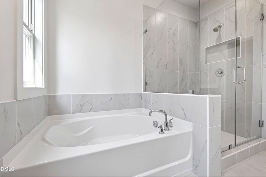 982 Helix (36) 982 Helix (36)